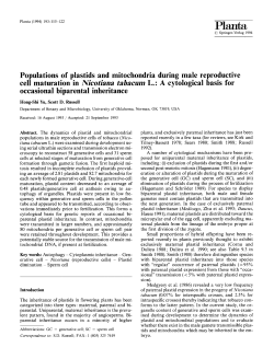 Populations of plastids and mitochondria during male reproductive
