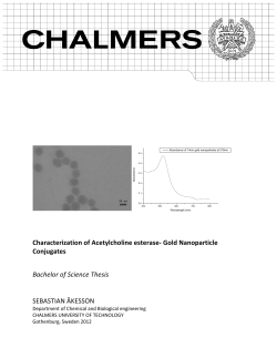 Characterization of Acetylcholine esterase‐ Gold Nanoparticle