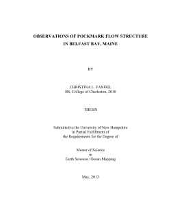 observations of pockmark flow structure in belfast bay, maine