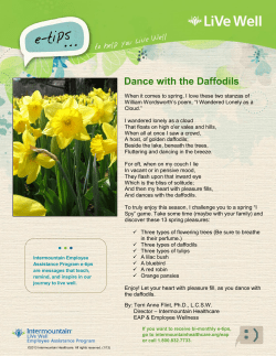 Dance with the Daffodils - Intermountain Healthcare