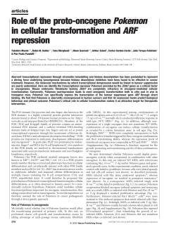Role of the proto-oncogene Pokemon in cellular transformation and
