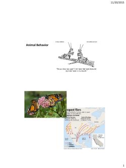 Animal Behavior - El Camino College