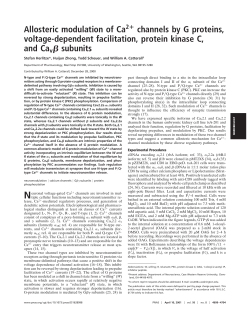 Allosteric modulation of Ca channels by G proteins, voltage