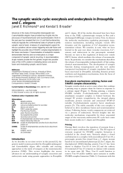 The synaptic vesicle cycle: exocytosis and endocytosis in