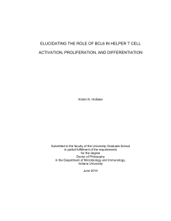 elucidating the role of bcl6 in helper t cell - ScholarWorks