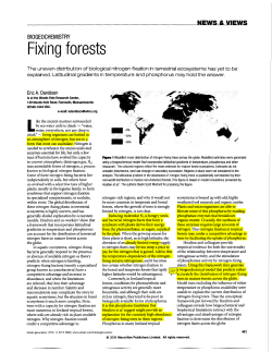 Fixing forests