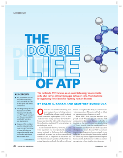 medicine by baljit s. khakh and geoffrey burnstock