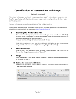 Quantifications of Western Blots with ImageJ