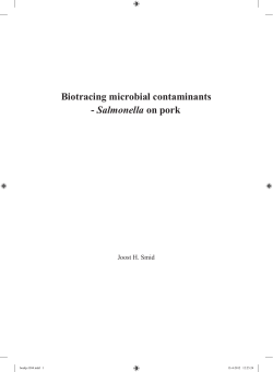 Biotracing microbial contaminants - Salmonella on pork