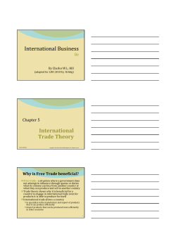 International Business International Trade Theory
