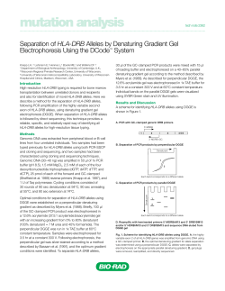 Separation of HLA-DRB Alleles by Denaturing Gradient - Bio-Rad