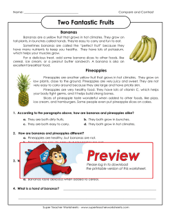 Bananas and Pineapples - Super Teacher Worksheets