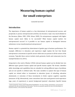 Measuring human capital for small enterprises