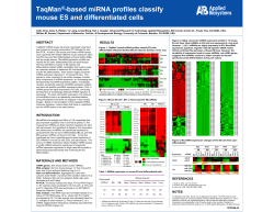 based miRNA profiles classify mouse ES and differentiated cells