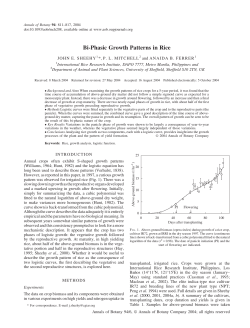 Bi-Phasic Growth Patterns in Rice