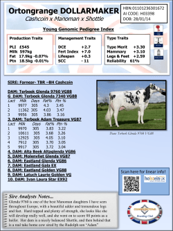 Ortongrange DOLLARMAKER