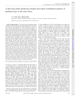 A three-leg model producing tetrapod and tripod coordination