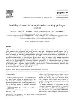Solubility of metals in an anoxic sediment during prolonged