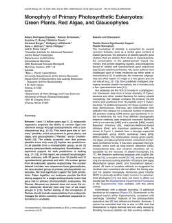 Monophyly of Primary Photosynthetic Eukaryotes