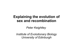 Explaining the evolution of sex and recombination