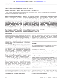 Netrin-4 induces lymphangiogenesis in vivo