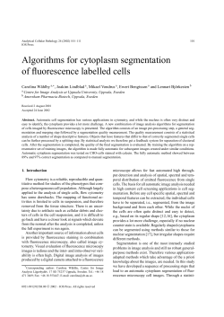 Algorithms for cytoplasm segmentation of fluorescence