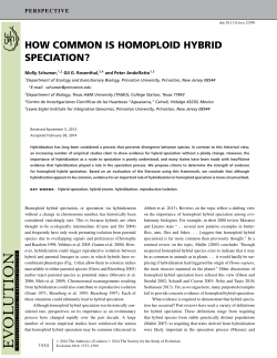 how common is homoploid hybrid speciation - Gil Rosenthal
