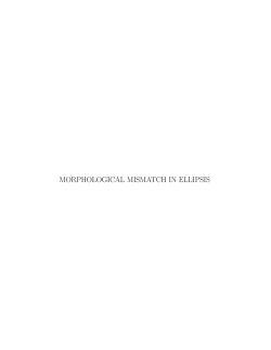 Not All Forms of Morphological Mismatch are Acceptable in Verb