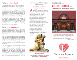 HoLy DooR at the - St. Matthew`s Cathedral