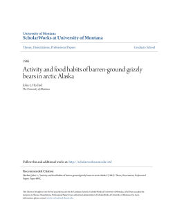 Activity and food habits of barren-ground grizzly bears in arctic Alaska.