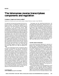 The telomerase reverse transcriptase: components and regulation