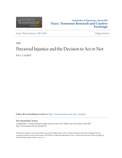 Perceived Injustice and the Decision to Act or Not