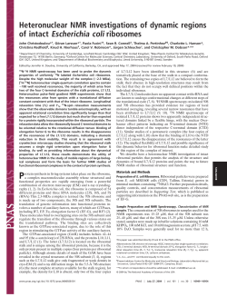 Heteronuclear NMR investigations of dynamic regions of intact