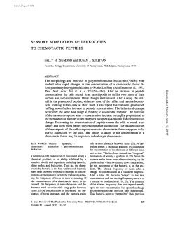 sensory adaptation of leukocytes to chemotactic peptides