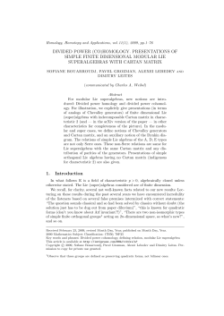 DIVIDED POWER (CO)HOMOLOGY. PRESENTATIONS OF SIMPLE