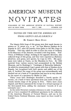 1novitates - AMNH Library Digital Repository