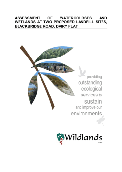 Ecology report (PDF 3.6MB)