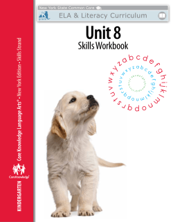 Skills Unit 8 Workbook