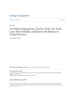 Too Many Fishing Boats, Too Few Fish