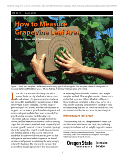 How to Measure Dormant Pruning Weight of Grapevines