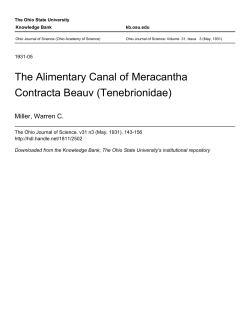 The Alimentary Canal of Meracantha Contracta Beauv