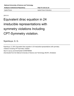 Equivalent dirac equation in 24 irreducible