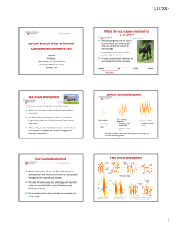 Can Cow Nutrition Affect Performance, Quality and