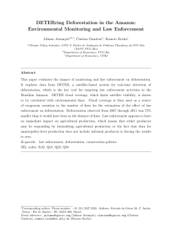 DETERring Deforestation in the Amazon: Environmental Monitoring