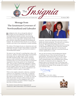 Insignia Newsletter - Summer 2013
