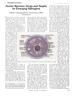 Human Mycoses: Drugs and Targets for Emerging Pathogens