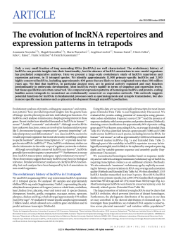 The evolution of lncRNA repertoires and expression patterns in