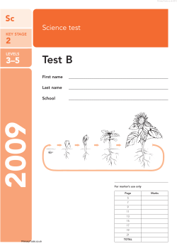 Paper B - Primary Tools