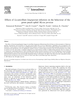 Effects of Lecanicillium longisporum infection