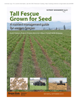 Tall Fescue Grown for Seed: A nutrient management guide for